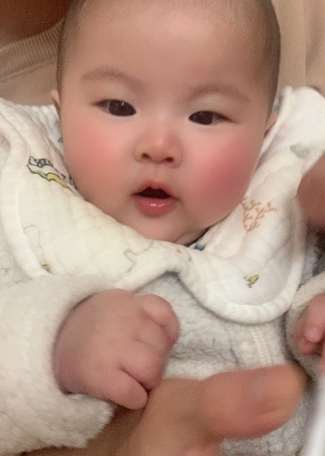 模特-