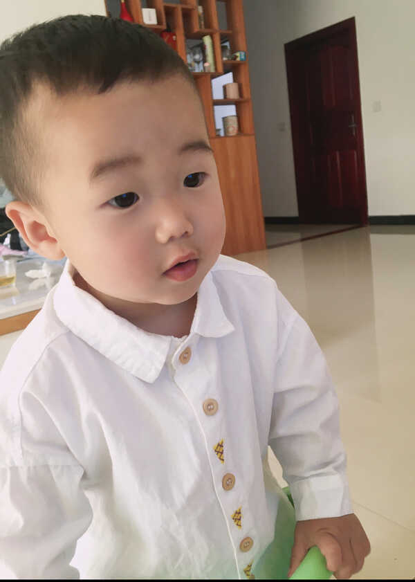 模特-