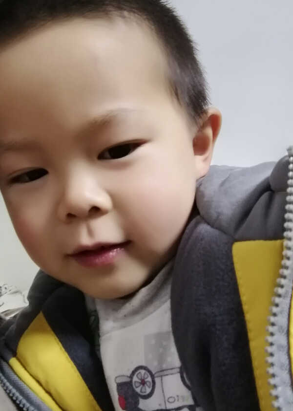 模特-