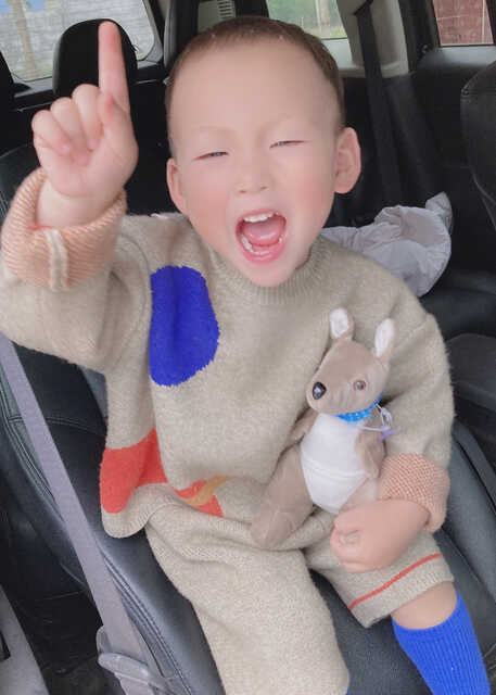 模特-
