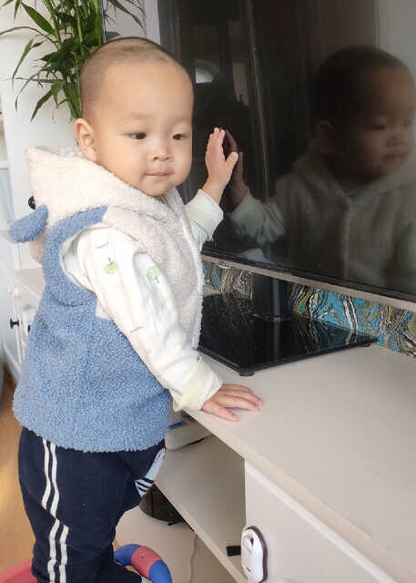 模特-