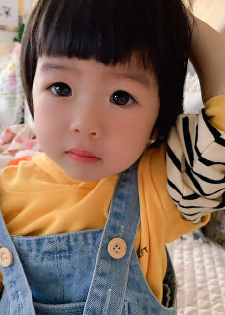 模特-