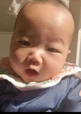 模特-