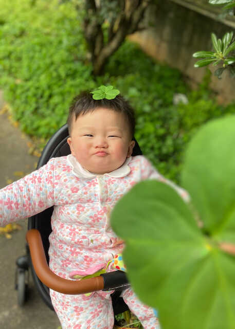 模特-