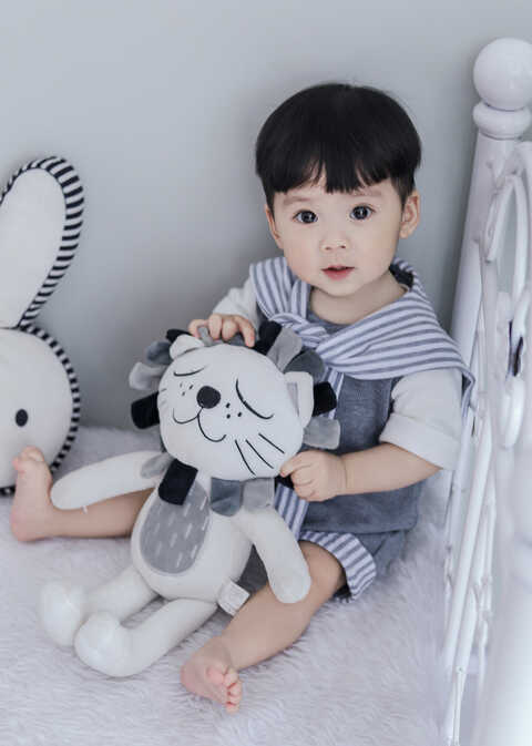 模特-