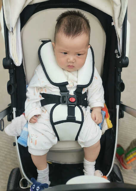 模特-