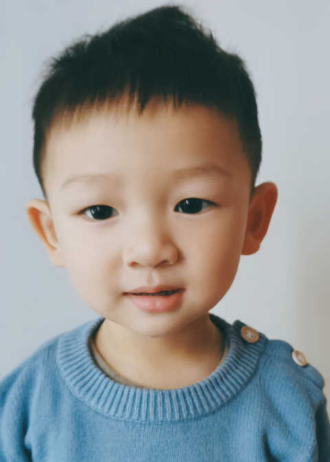 模特-