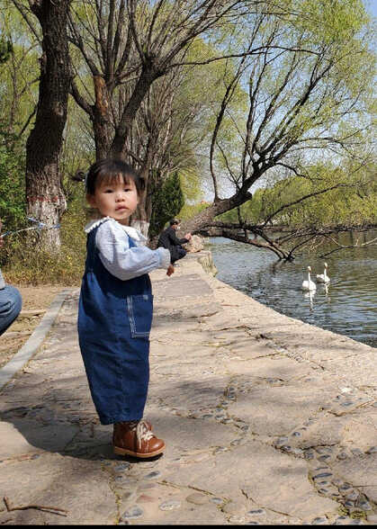 模特-
