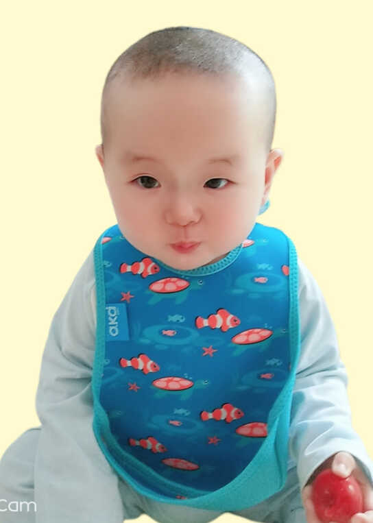 模特-