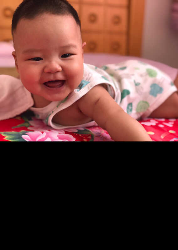 模特-
