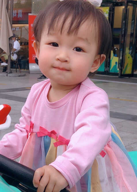 模特-