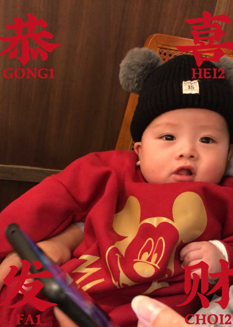 模特-