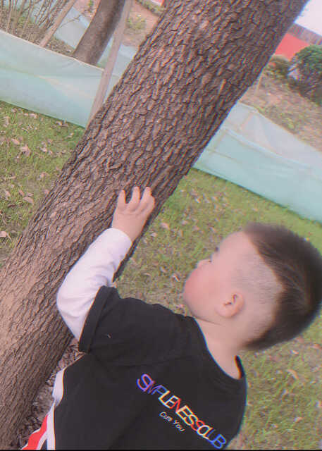 模特-