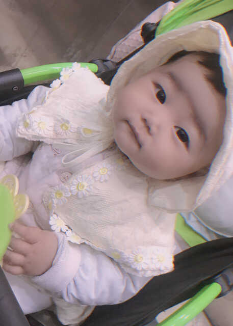 模特-