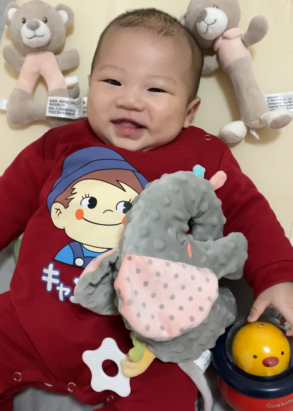 模特-