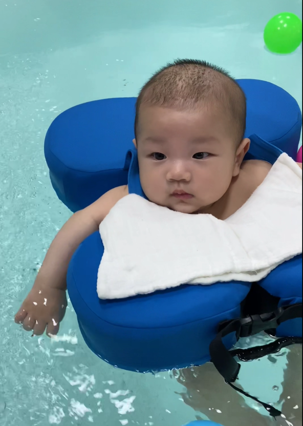 模特-