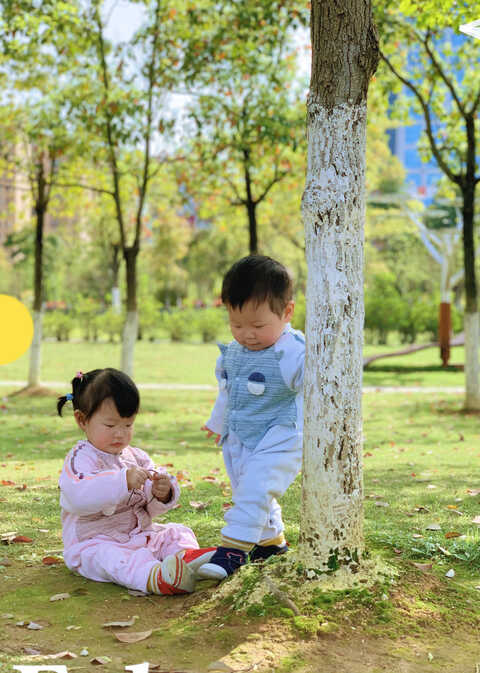 模特-