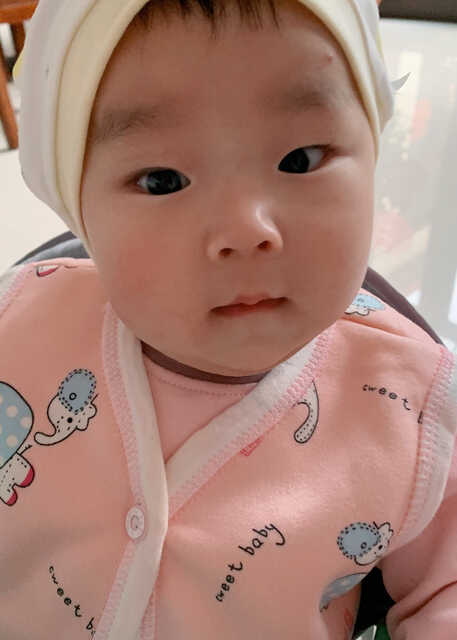 模特-