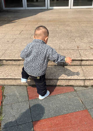 模特-