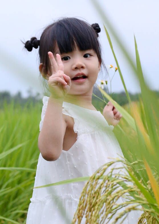 模特-