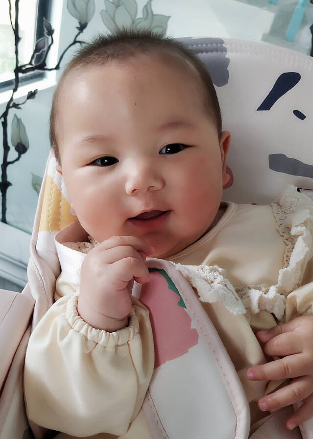 模特-