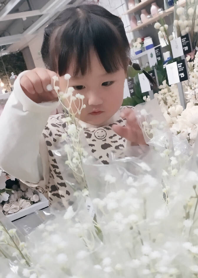 模特-