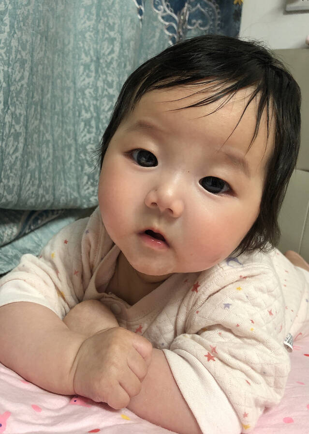 模特-