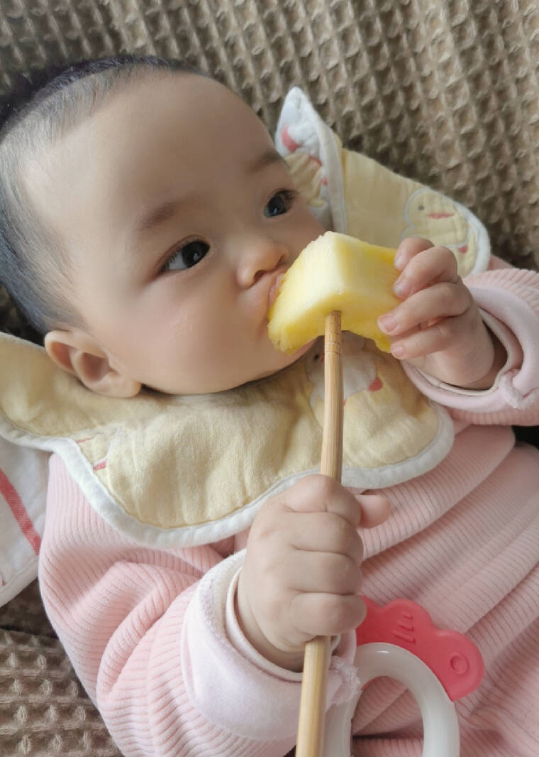 模特-
