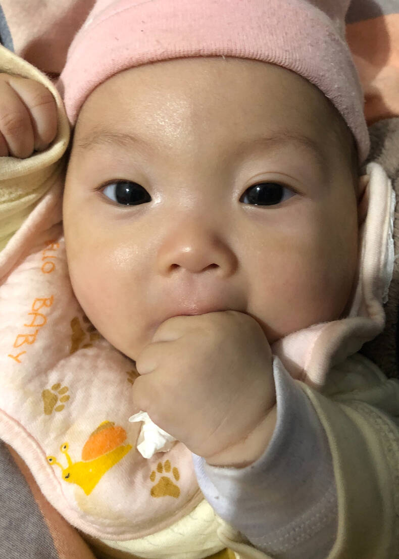 模特-