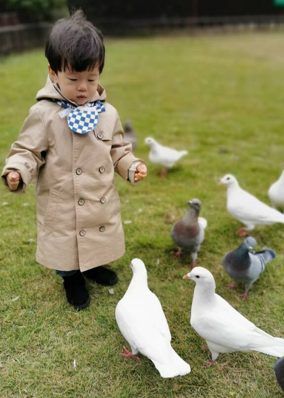 模特-