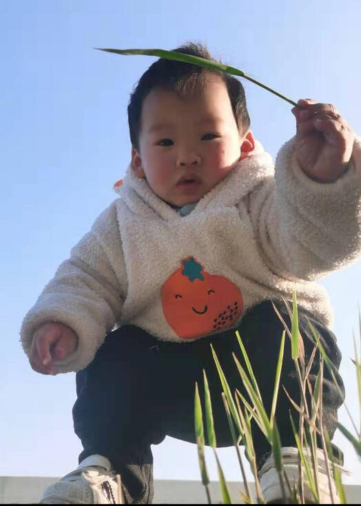 模特-