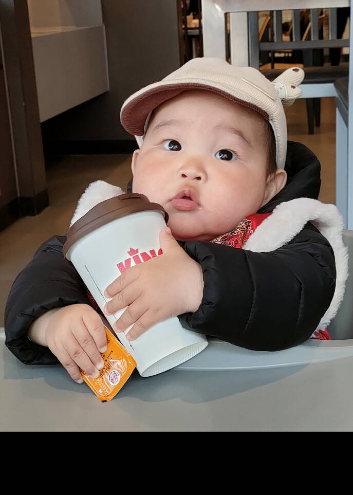 模特-