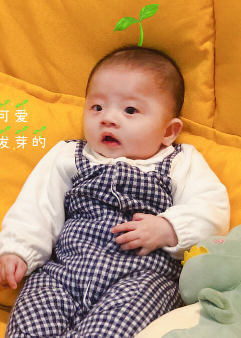 模特-
