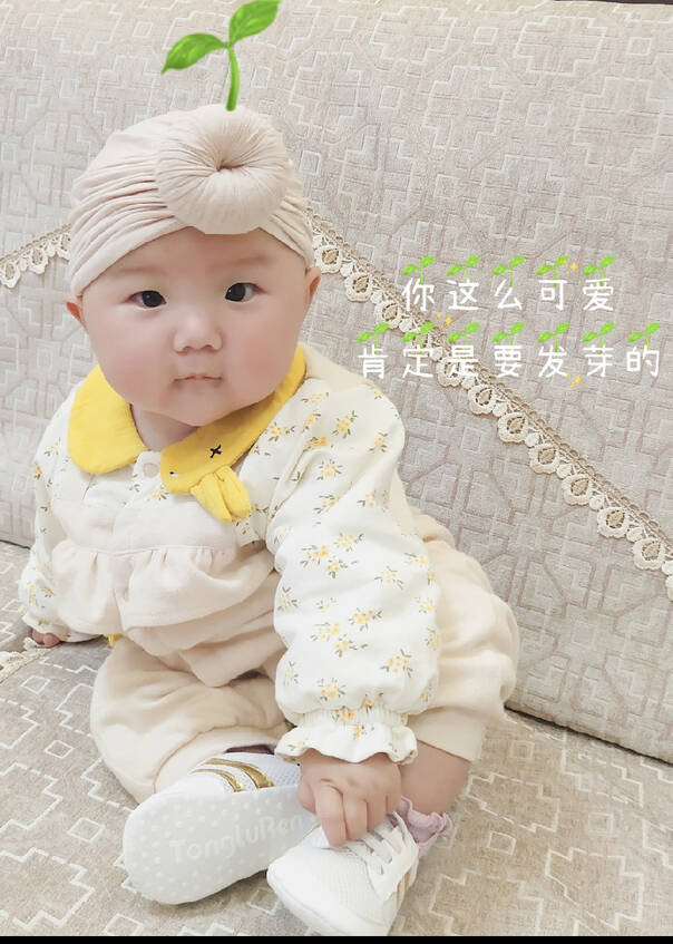 模特-