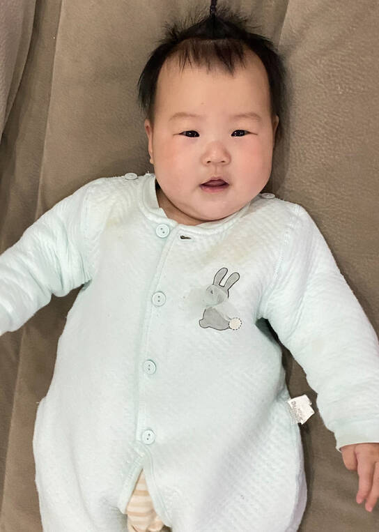 模特-