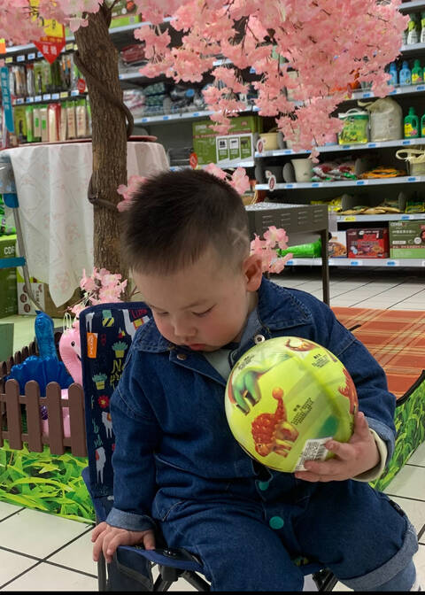 模特-