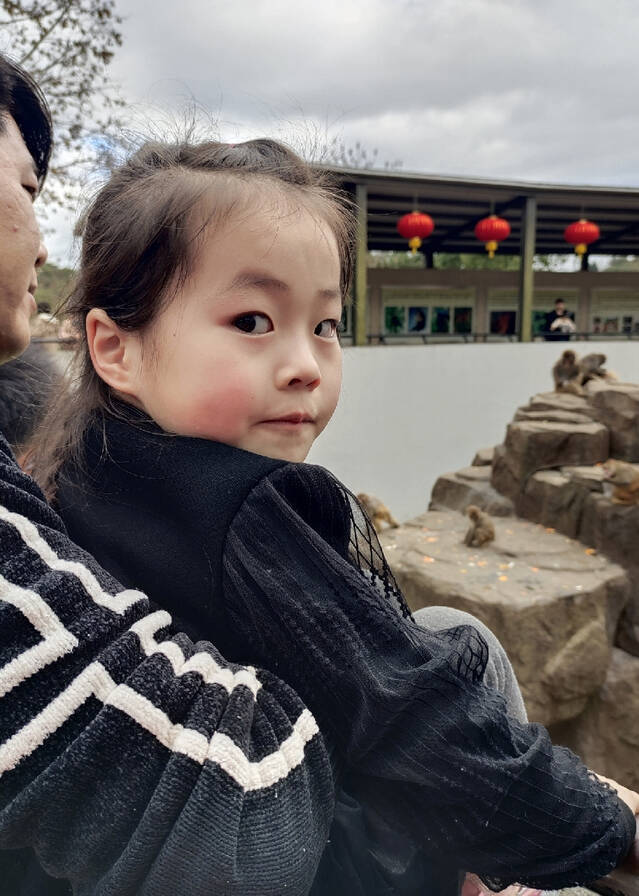 模特-