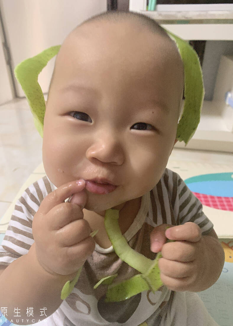 模特-