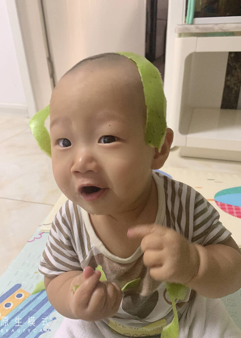 模特-