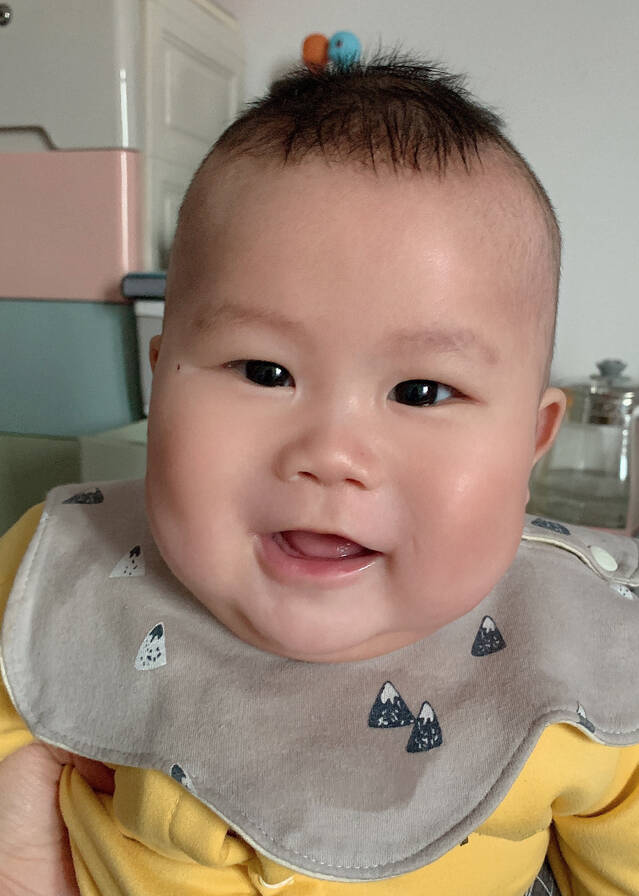模特-