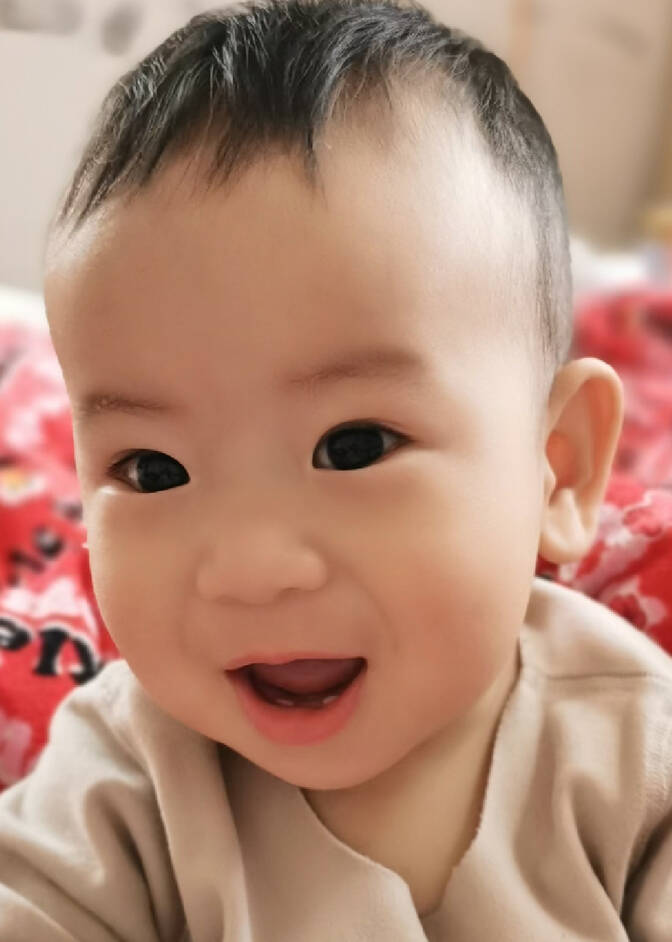 模特-