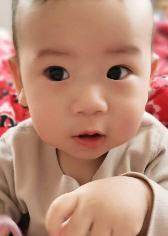 模特-
