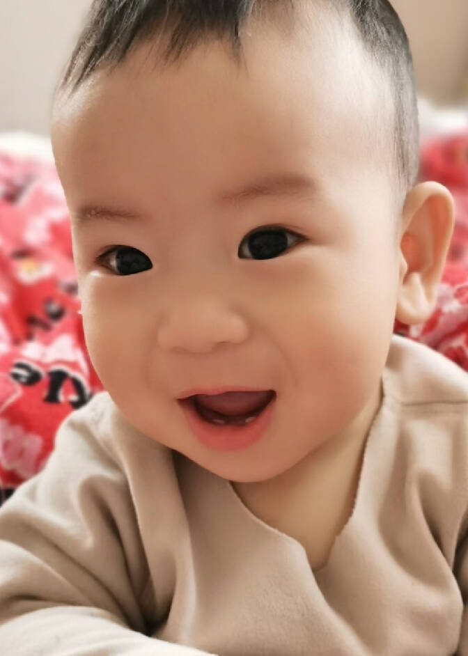 模特-