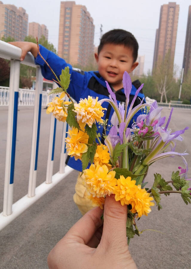 模特-