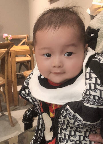 模特-