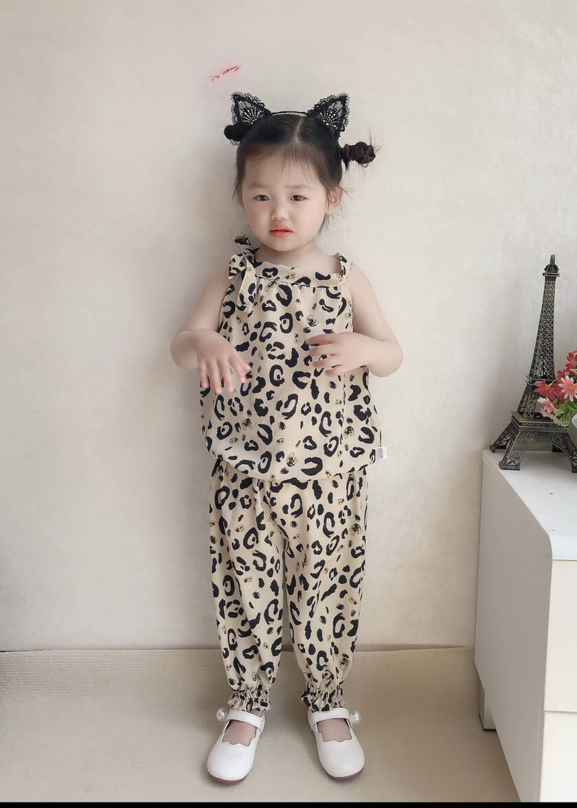模特-