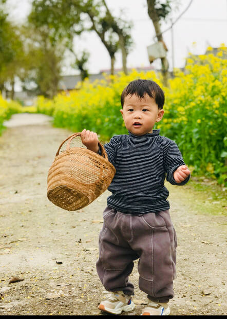 模特-