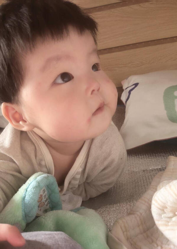 模特-
