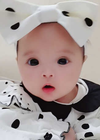 模特-