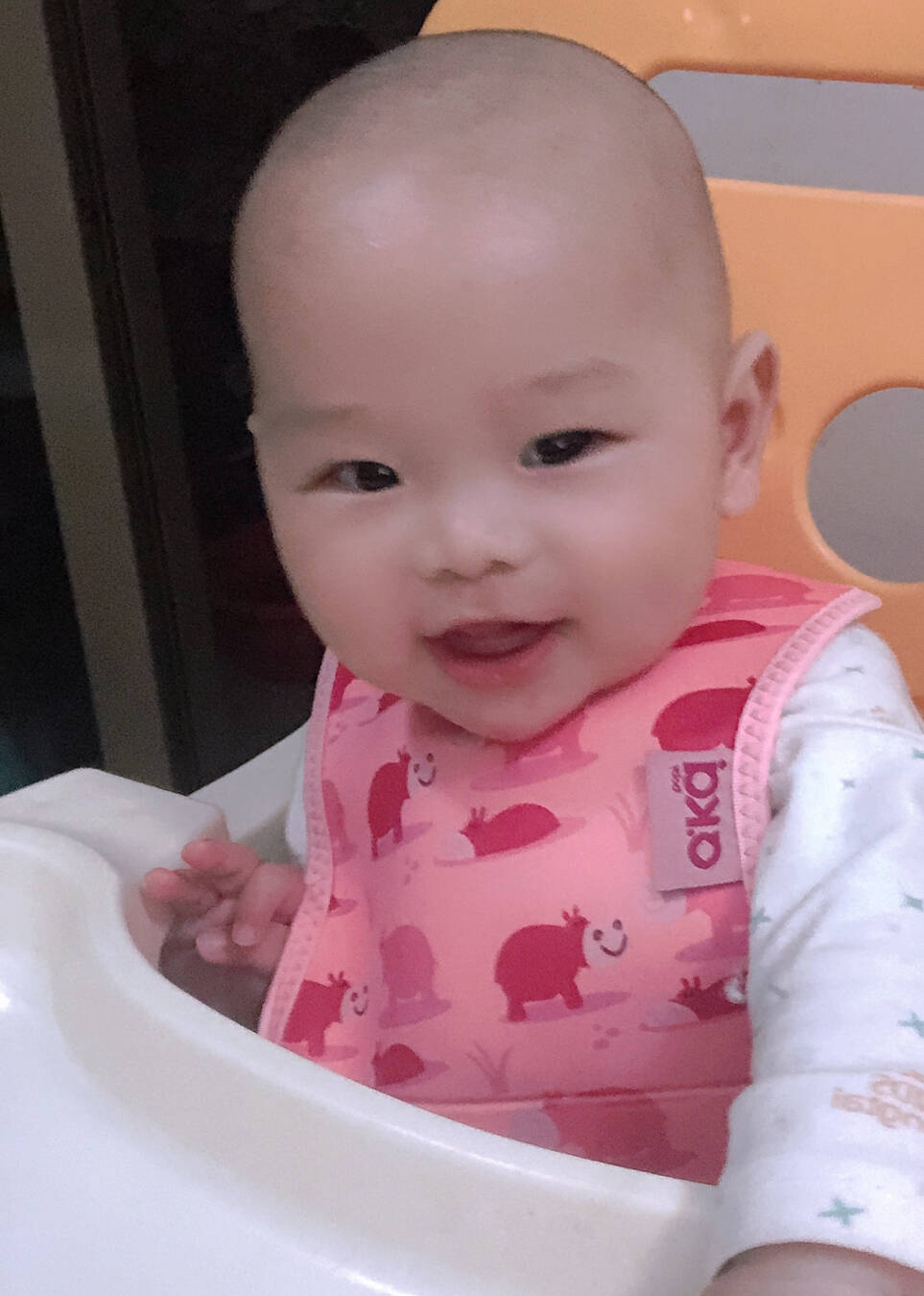 模特-